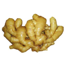 2021 Excellence price Wholesale Chinese High Quality Fresh Wet Ginger